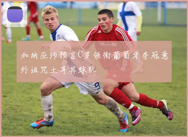 加纳巫师预言C罗领衔葡萄牙夺冠意外诅咒土耳其球队
